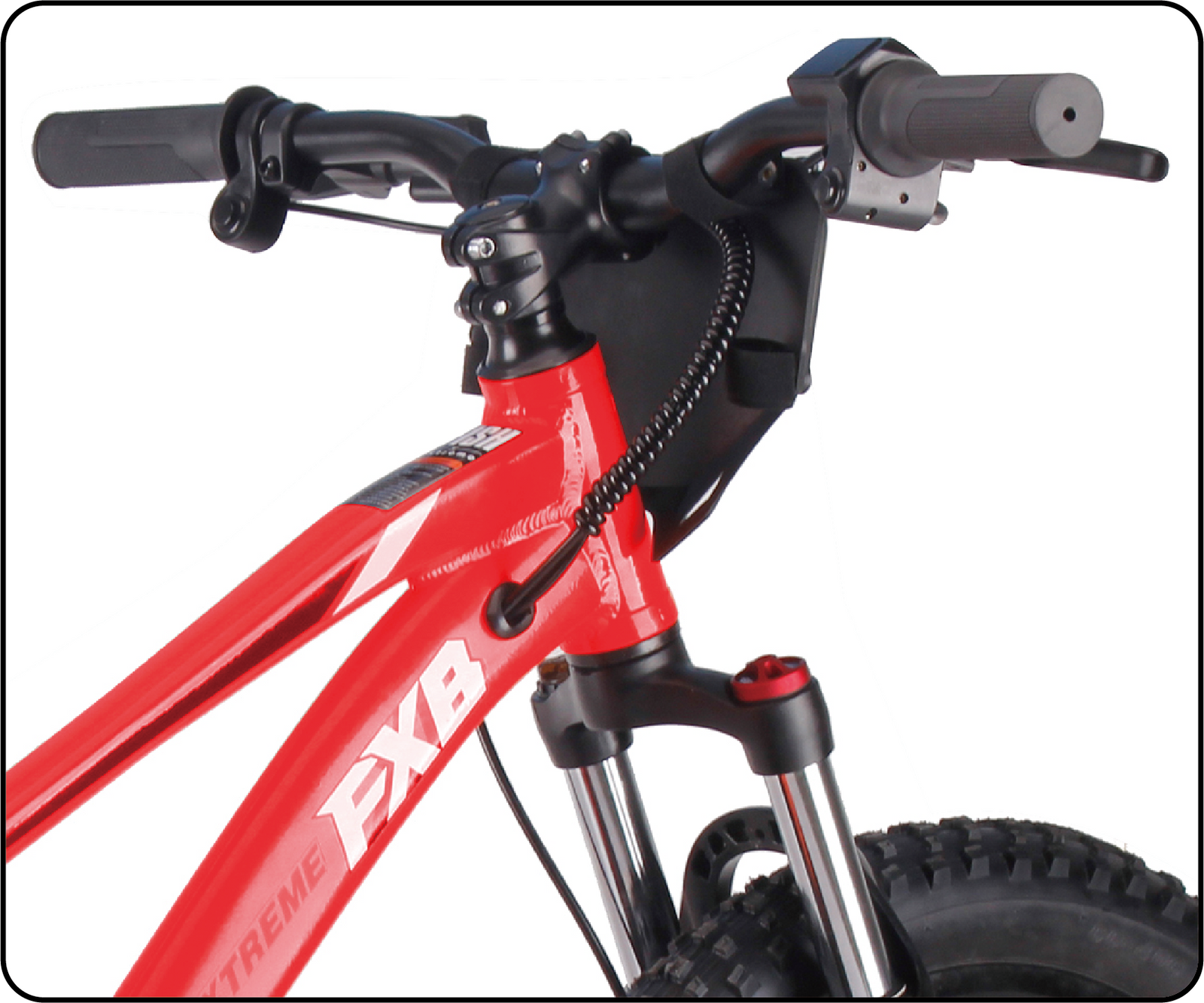FXB01-20 Pro Cross - Electric Dirt Bike