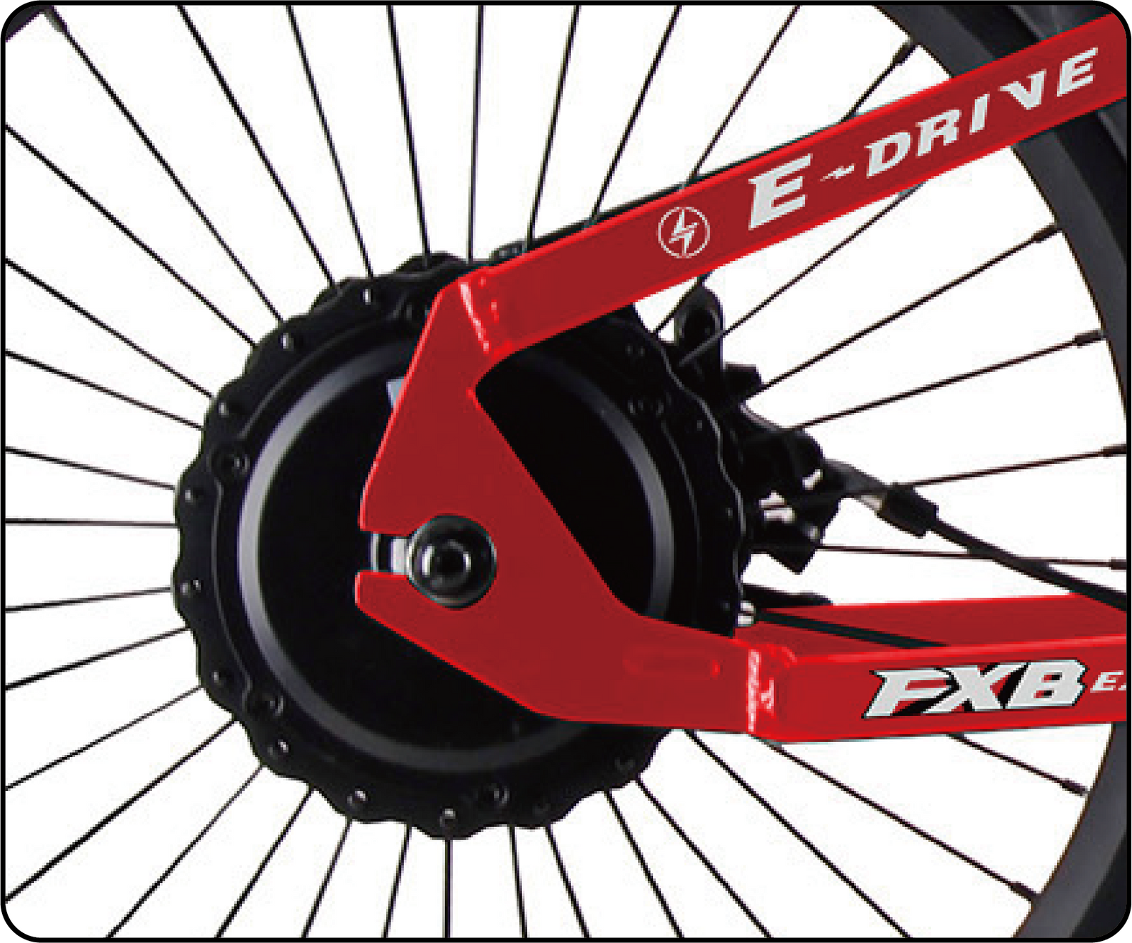 FXB01-20 Pro Cross - Electric Dirt Bike