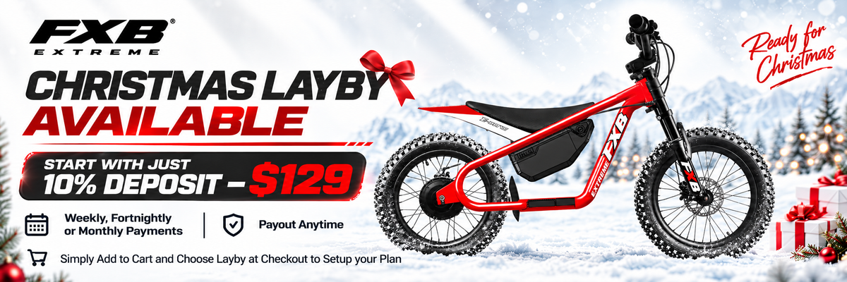 FXB04-16 Pro Cross - Electric Dirt Bike