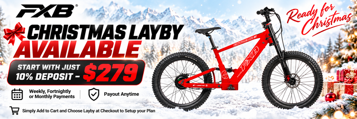 FXB06-24 Extreme III - Electric Racing Bike