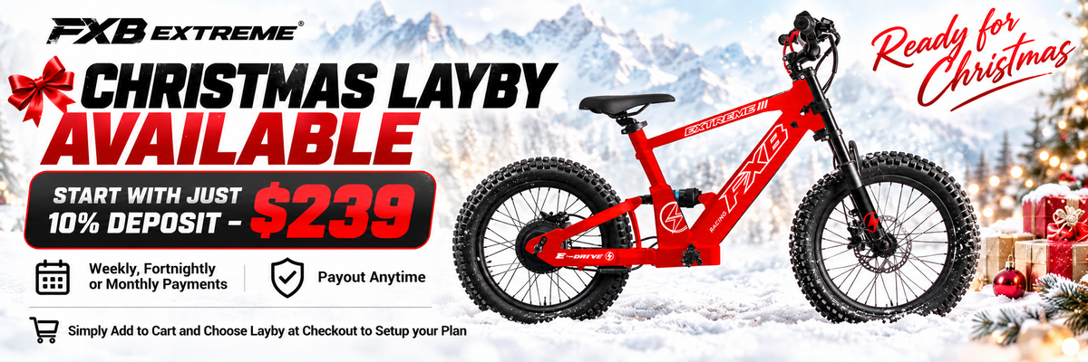 FXB06-20 Extreme III - Electric Racing Bike
