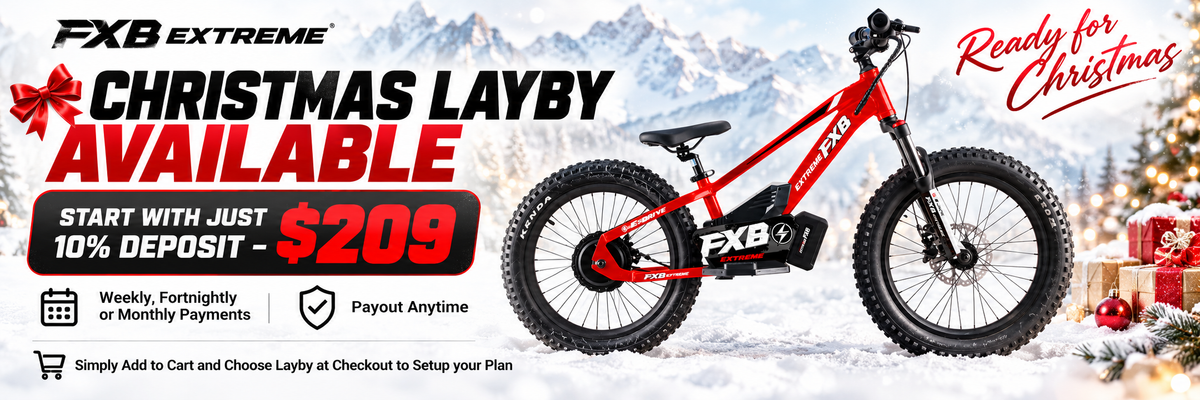 FXB01-20 Pro Cross - Electric Dirt Bike
