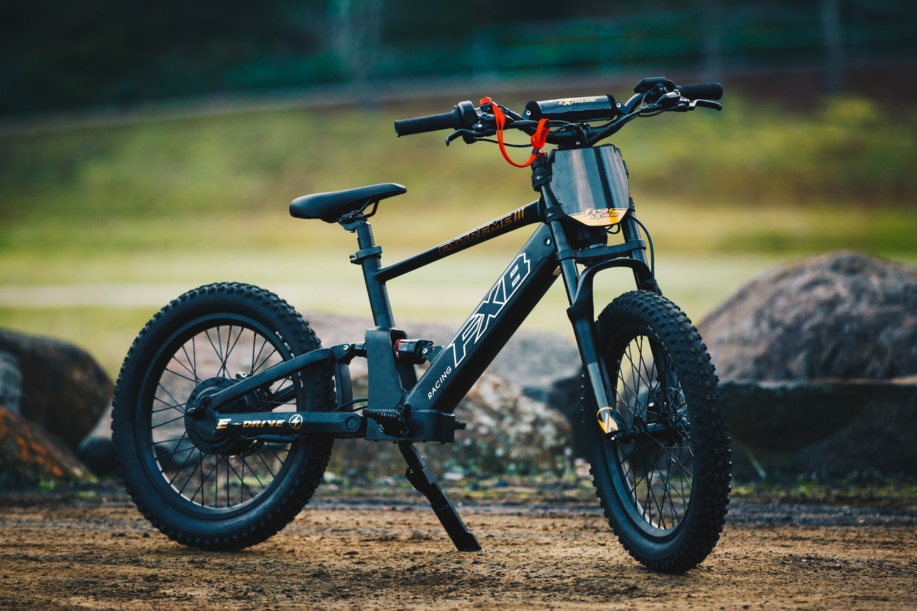 FXB06-20 Extreme III - Electric Racing Bike