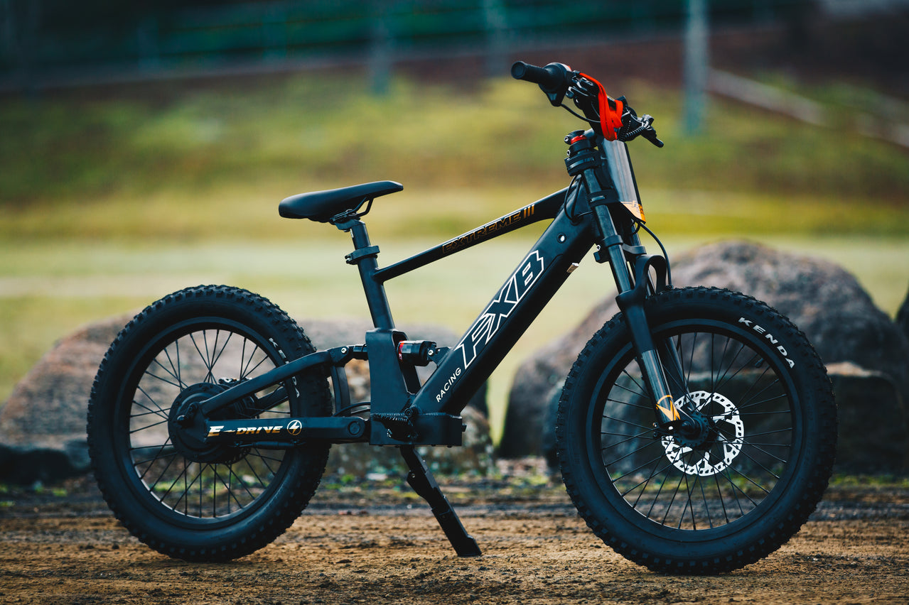 FXB06-20 Extreme III - Electric Racing Bike