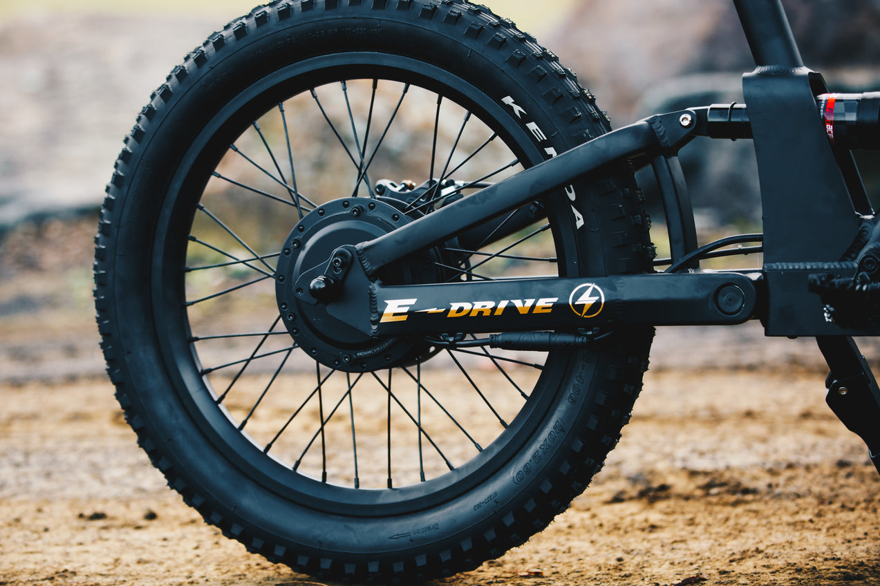 FXB06-20 Extreme III - Electric Racing Bike