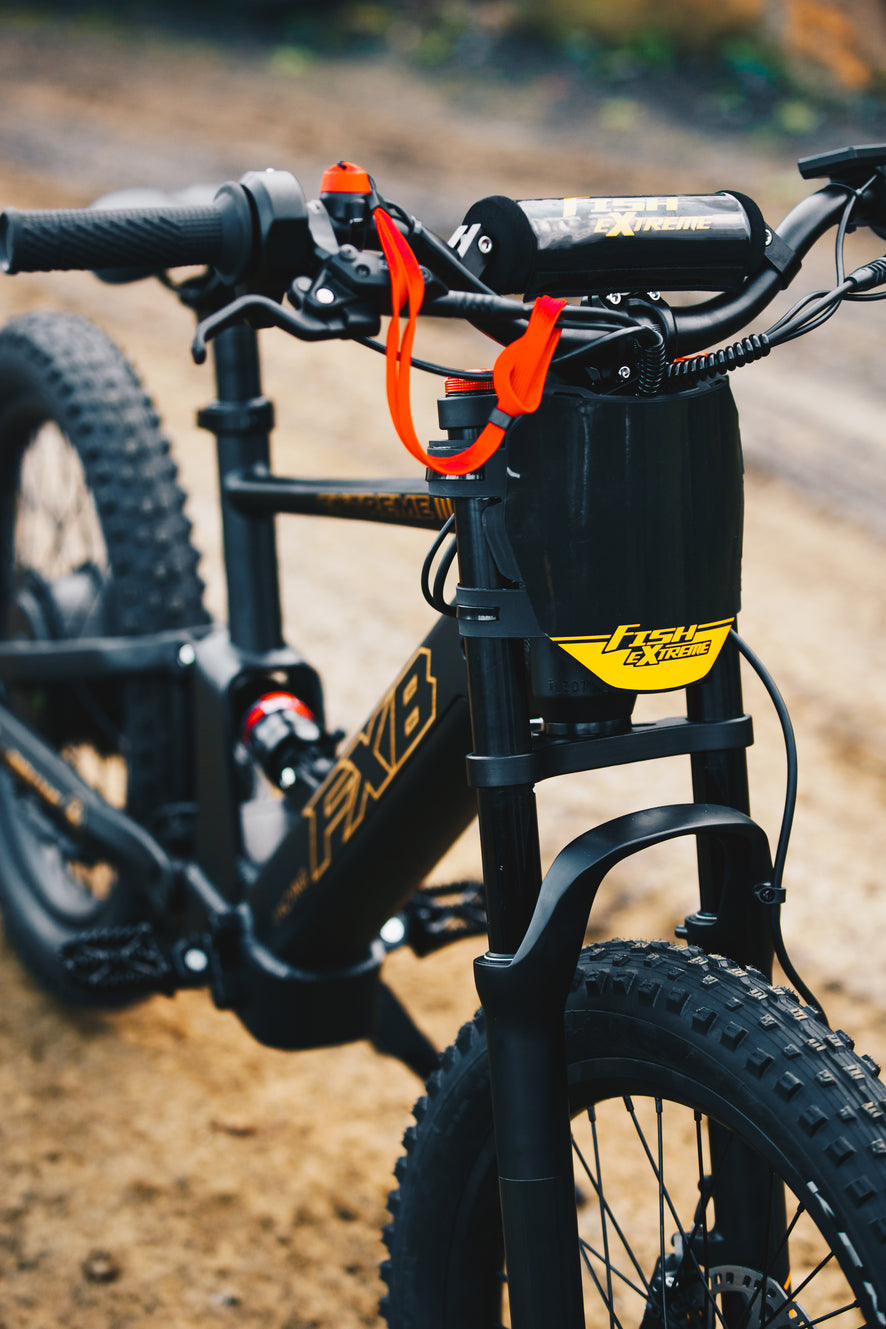 FXB06-20 Extreme III - Electric Racing Bike