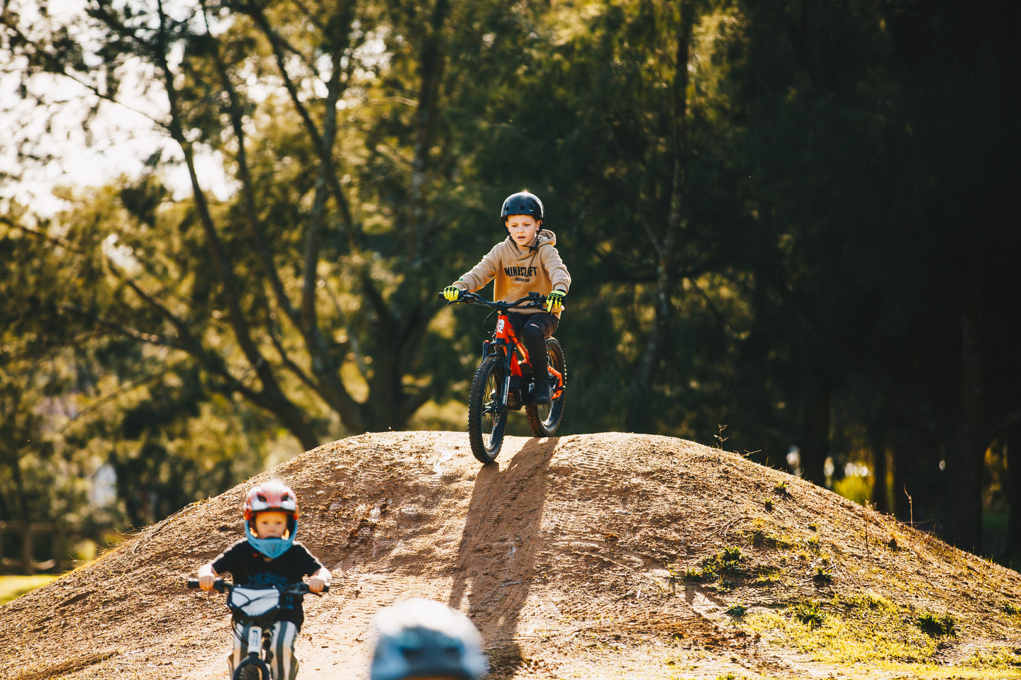 FXB01-20 Pro Cross - Electric Dirt Bike
