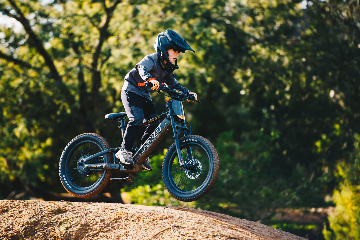 FXB06-20 Extreme III - Electric Racing Bike