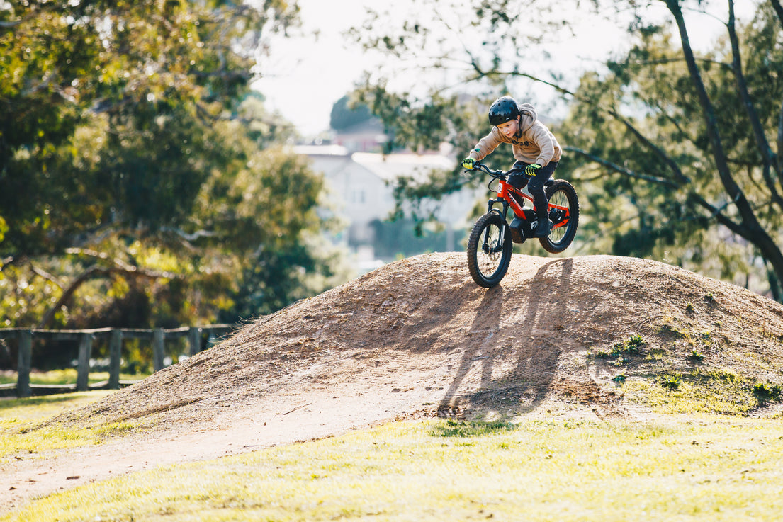 FXB01-20 Pro Cross - Electric Dirt Bike