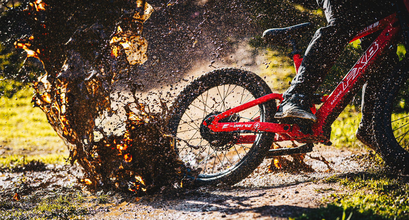 FXB06-24 Extreme III - Electric Racing Bike