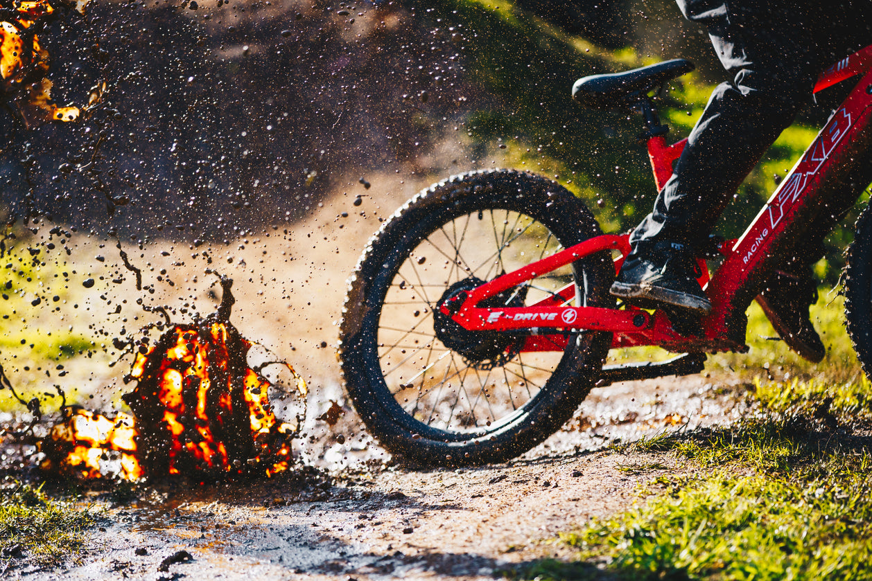 FXB06-24 Extreme III - Electric Racing Bike