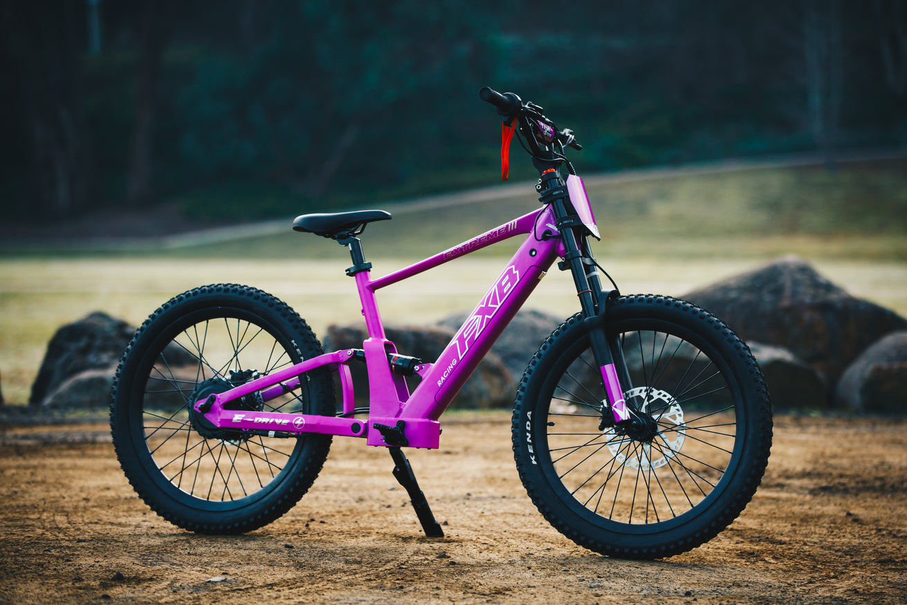 FXB06-24 Extreme III - Electric Racing Bike