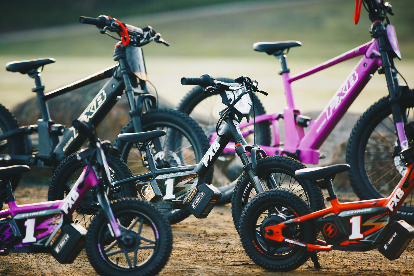 FXB03-16 Pro Cross - Electric Balance Bike