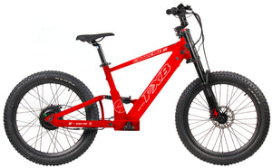 FXB06-24 Extreme III - Electric Racing Bike